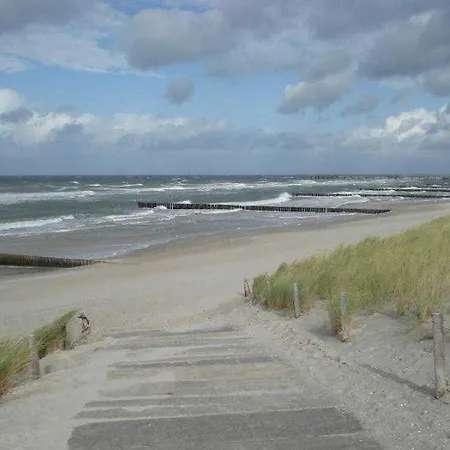 Langer Strandhafer 31 *