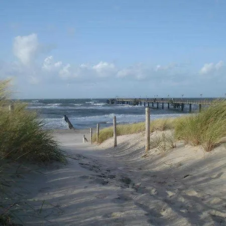 Langer Strandhafer 31 グラール・ミューリッツ