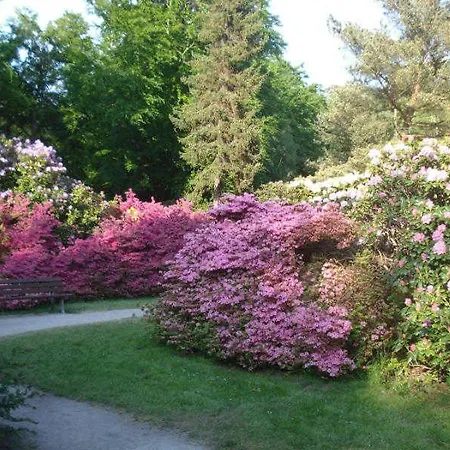 Langer Strandhafer 31 アパート グラール・ミューリッツ