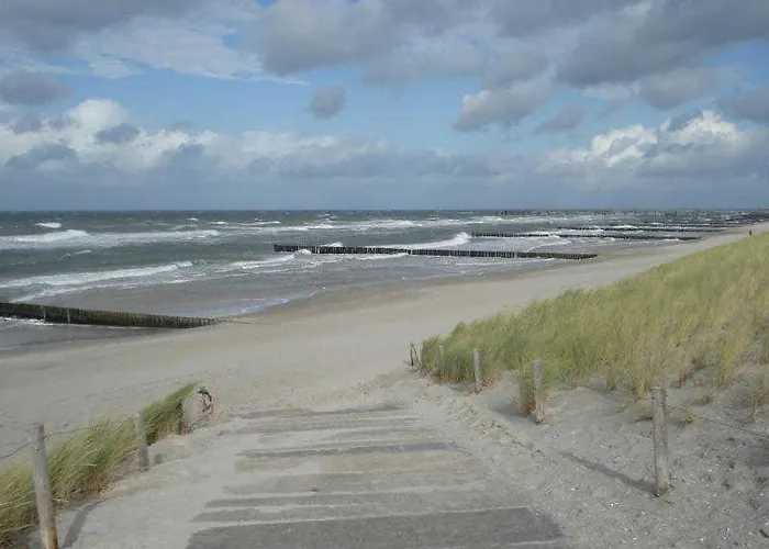 Langer Strandhafer 31 *